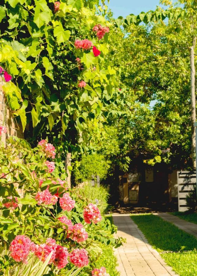 Vina Apartment Villa Elisa  Bagian luar foto