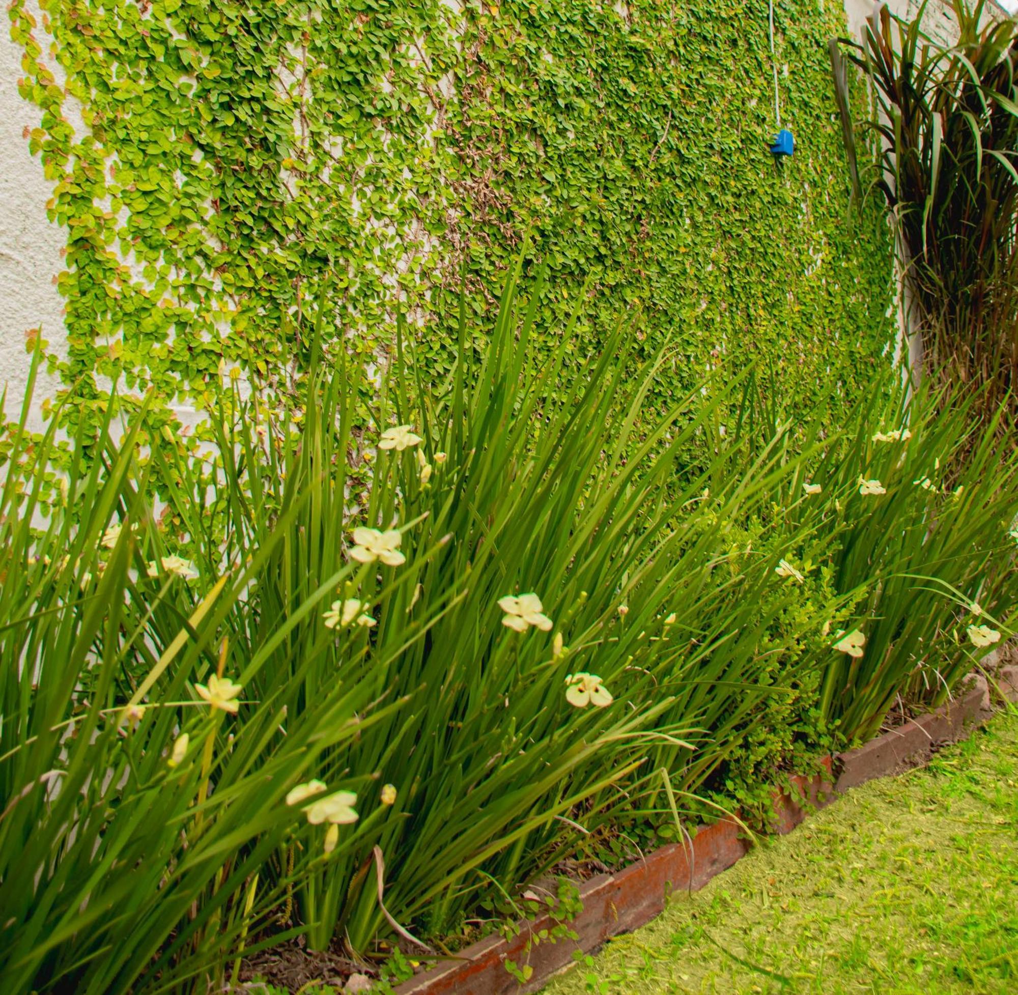 Vina Apartment Villa Elisa  Bagian luar foto